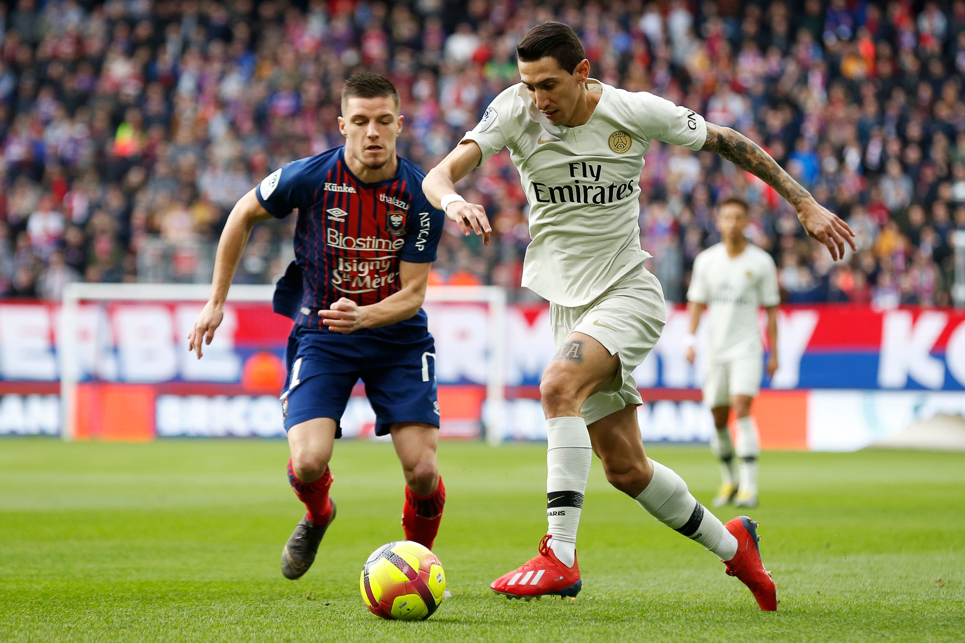 两进两出！贝西洛维奇已经是第二次在同曦下课