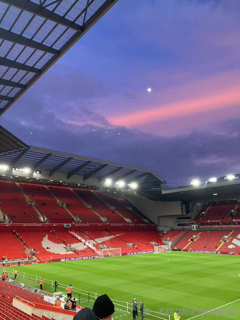 篮球篮网主力中锋脚踝扭伤，伤势待评估